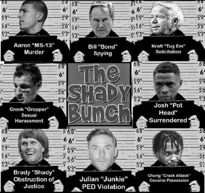 The Shady Bunch.png