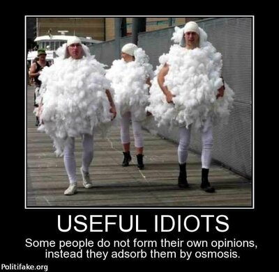 useful-idiots-some-people-not-form-their-own-opinions-instea-politics-1425246909.jpg