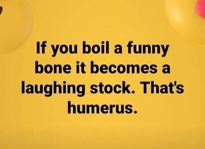 humerus.jpg