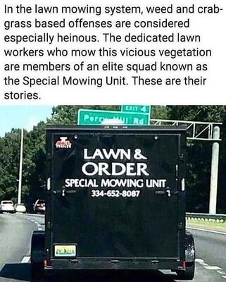 lawn.jpg