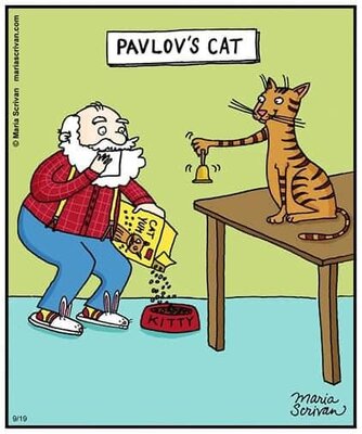 pavlovcat.jpg