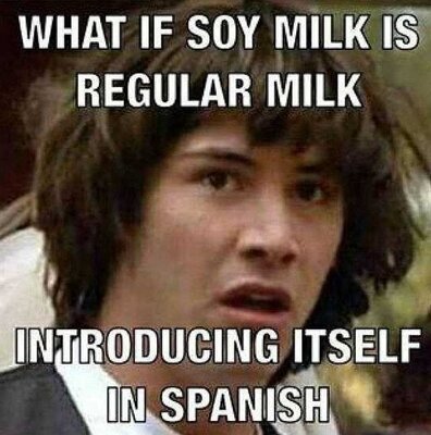 SpanishMilkMeme_Soy.thumb.jpg.a7b412341178f155505facc4e1decbbc.jpg