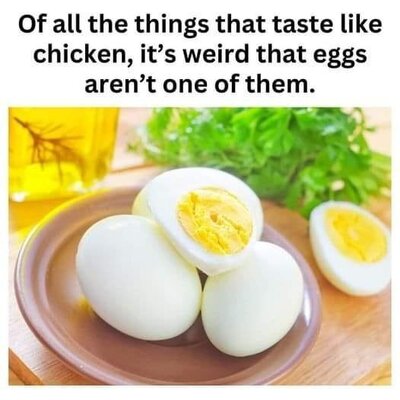 eggs.jpg