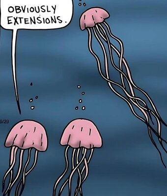 extensions.jpg