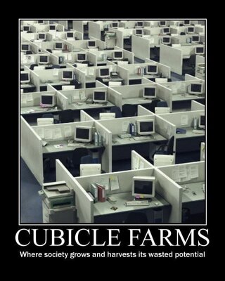 CubeFarm_WastedPotential.thumb.jpg.269b204f226ab749ee20cd69f2159755.jpg