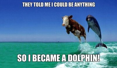 DolphinsCows.thumb.jpg.7a8a3c4c0c68efe629c3d65977d3ebc1.jpg