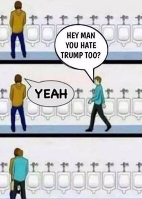 20250427_122817.thumb.jpg.994f0f7ba6e43e3a55be95173ce26708.jpg